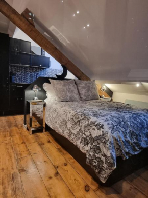 Le Clair Obscur Wonderful charming studios